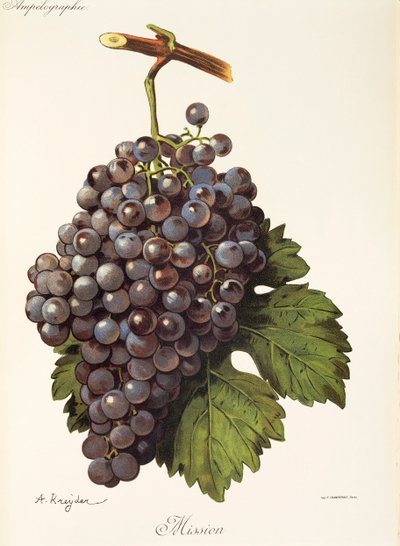 Uva de la misión por A. Kreyder de Alexis Kreyder