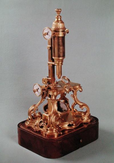 Microscopio perteneciente a Louis Auguste d