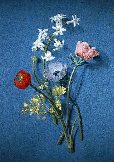 Ranúnculos, anémonas y jazmín de Alexis Nicolas Perignon