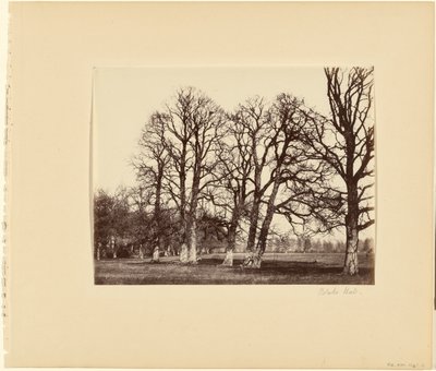 Blake Hall de Alfred Capel Cure