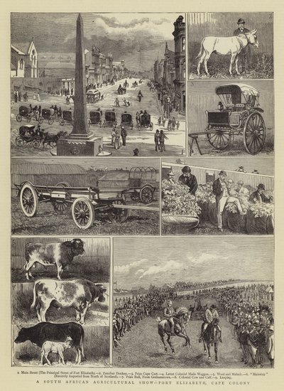 Una feria agrícola sudafricana, Port Elizabeth, Colonia del Cabo de Alfred Chantrey Corbould