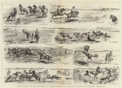 Capturando caballos salvajes en las llanuras de Laramie, Noroeste de América de Alfred Chantrey Corbould