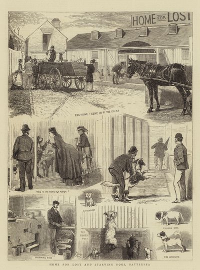 Hogar para Perros Perdidos y Hambrientos, Battersea de Alfred Chantrey Corbould