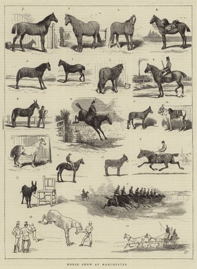 Exposición de Caballos en Manchester de Alfred Chantrey Corbould