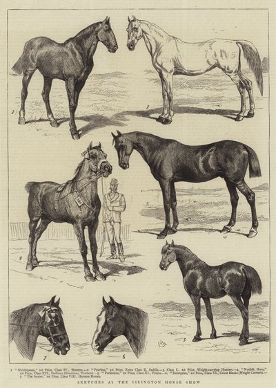 Bocetos en la Exposición de Caballos de Islington de Alfred Chantrey Corbould