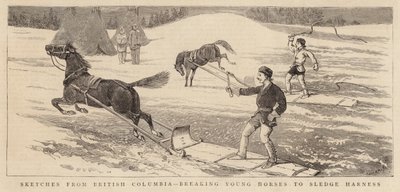 Bocetos de Columbia Británica, domando caballos jóvenes para el arnés de trineo de Alfred Chantrey Corbould