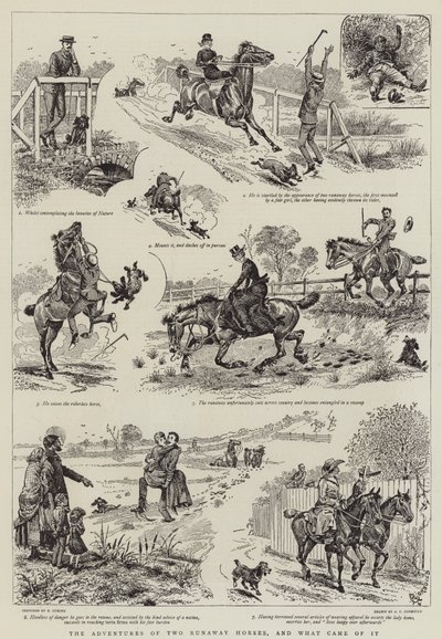 Las Aventuras de Dos Caballos Fugitivos, y lo que Resultó de Ello de Alfred Chantrey Corbould