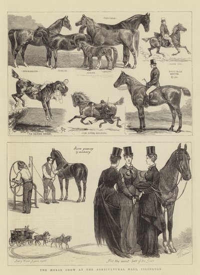 El espectáculo ecuestre en el Agricultural Hall, Islington de Alfred Chantrey Corbould