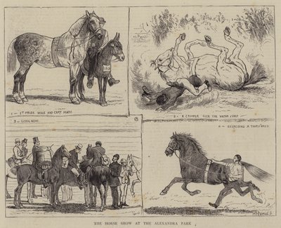 La exposición de caballos en el Alexandra Park de Alfred Chantrey Corbould