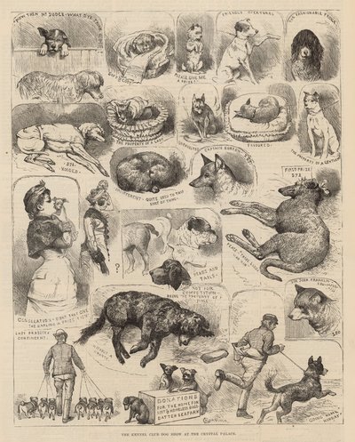 La Exposición Canina del Kennel Club en el Crystal Palace de Alfred Chantrey Corbould