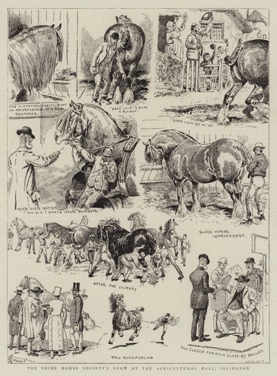 Exposición de la Sociedad del Caballo Shire en el Agricultural Hall, Islington de Alfred Chantrey Corbould