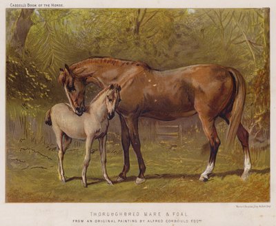 Yegua pura sangre y potro de Alfred Chantrey Corbould