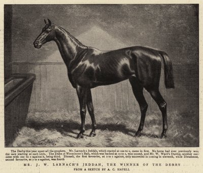 Mr J W Larnachs Jeddah, el ganador del Derby de Alfred Charles Havell