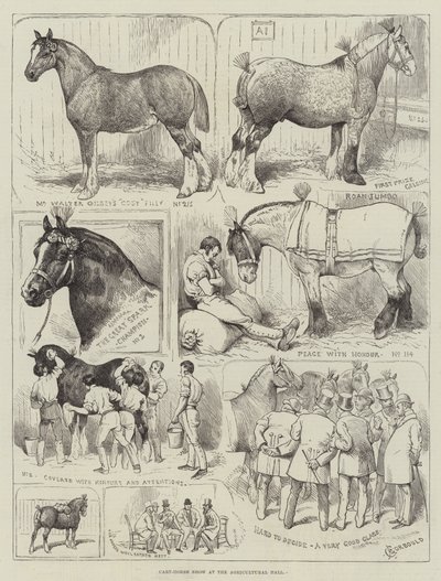 Exposición de caballos de tiro en el Agricultural Hall de Alfred Courbould