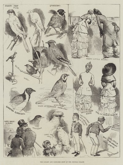 La exposición de canarios y aves enjauladas en el Crystal Palace de Alfred Courbould