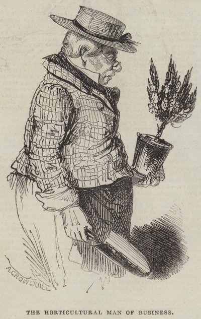 El Hombre de Negocios Hortícola de Alfred Crowquill