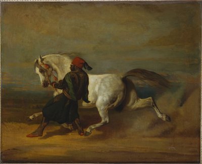 El orgullo del Pasha de Alfred Dedreux