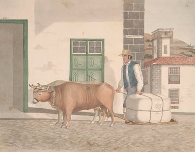 Trineo de bueyes para el transporte de mercancías de Alfred Diston