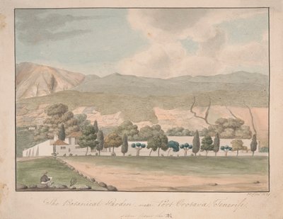 El Jardín Botánico cerca de Puerto Orotava, Tenerife de Alfred Diston