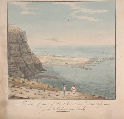 Vista de parte de Puerto Orotava, Tenerife desde La Caldeva, cerca de Sancho de Alfred Diston