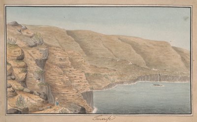 View of La Rambla de Castro near Port Orotava, Tenerife de Alfred Diston