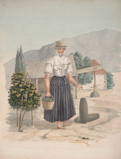 Mujer de El Miradero, Tenerife de Alfred Diston