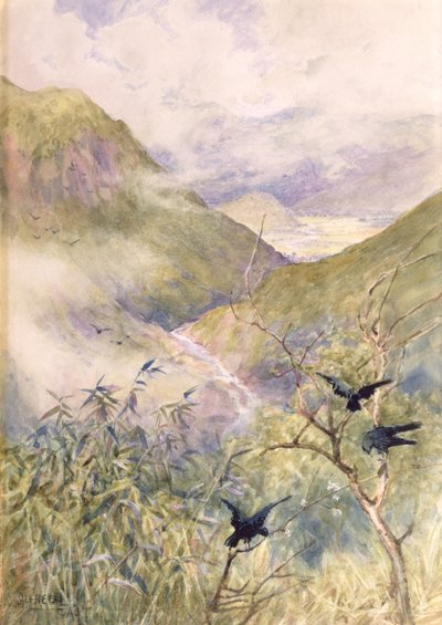 Mirando sobre los lirios: El valle de Nikko mirando hacia el este hacia la provincia de Shimo-no-Tsuke, c.1889 de Alfred East