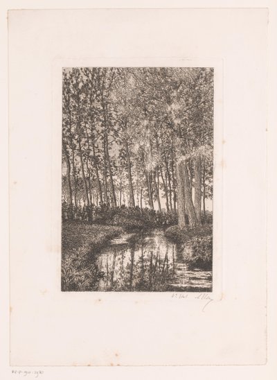 Altos árboles al borde del agua de Alfred Elsen (signed by artist)
