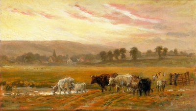 Atardecer cerca de Amberley (óleo sobre lienzo) de Alfred Fitzwalter Grace