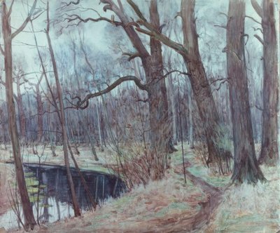 Aue de Leipzig de Alfred Frank