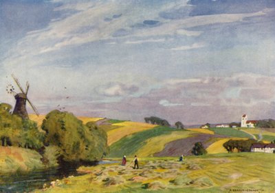 Dinamarca: un paisaje típico danés, sur de Jutlandia (litografia en color) de Alfred Heaton Cooper