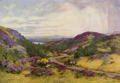 Dinamarca: Raebild Hills, cerca de Aalborg (litografia en color) de Alfred Heaton Cooper