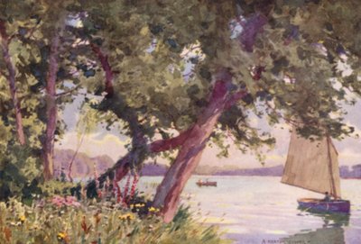 Lago Fritton, Suffolk, una mañana de verano de Alfred Heaton Cooper