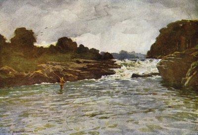 Cataratas de Kathleen, Ballyshannon de Alfred Heaton Cooper