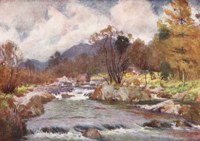 Distrito de los Lagos: Narcisos a orillas del Duddon plateado (litografía en color) de Alfred Heaton Cooper