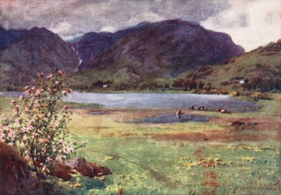 Distrito de los Lagos: Little Langdale Tarn (litografía en color) de Alfred Heaton Cooper