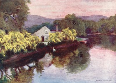 Distrito de los Lagos: Viejos Laburnos en Newby Bridge, Windermere (litografía en color) de Alfred Heaton Cooper