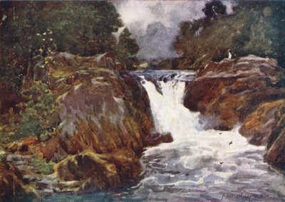 Distrito de los Lagos: Skelwith Force, Langdale (litografía en color) de Alfred Heaton Cooper