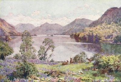 Distrito de los Lagos: Ullswater, desde Gowbarrow Park, una bochornosa mañana de junio (litografía en color) de Alfred Heaton Cooper