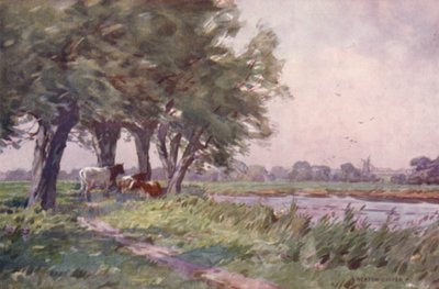 Mediodía en el Stour, Suffolk de Alfred Heaton Cooper