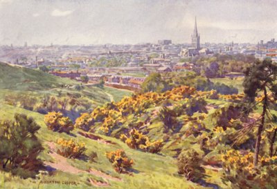 Norwich desde Mousehold Heath, Norfolk de Alfred Heaton Cooper