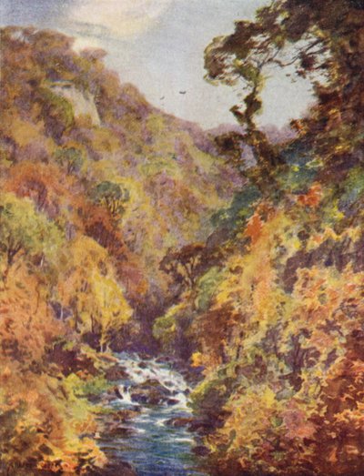El Dargle, Condado de Wicklow de Alfred Heaton Cooper
