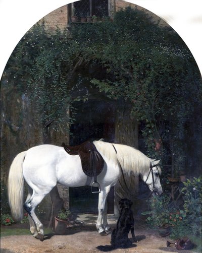 Caballo Blanco y Perro Retriever de Alfred Hichens Corbould
