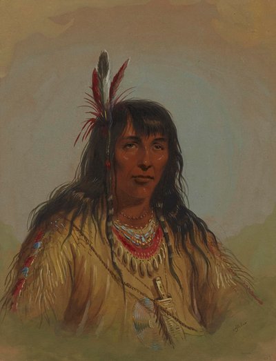  de Alfred Jacob Miller