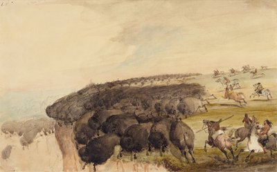 Conduciendo manadas de búfalos sobre un precipicio, c.1837 (lápiz, pluma y tinta y acuarela sobre papel) de Alfred Jacob Miller