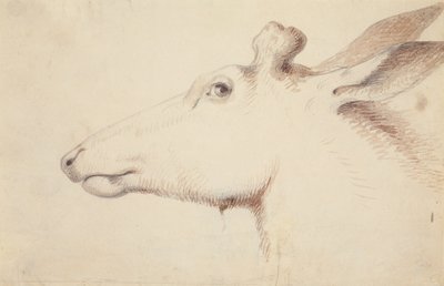 Alce. c.1837 (dibujo) de Alfred Jacob Miller