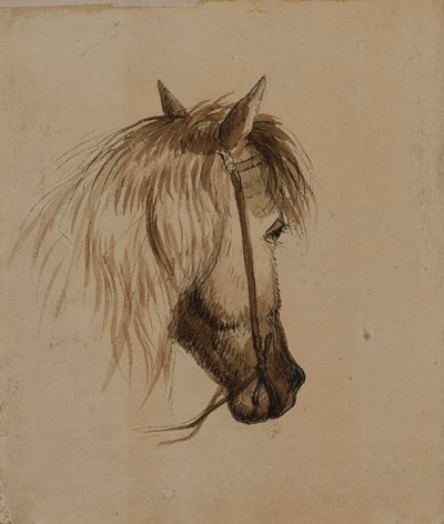 Cabeza de caballo de Alfred Jacob Miller