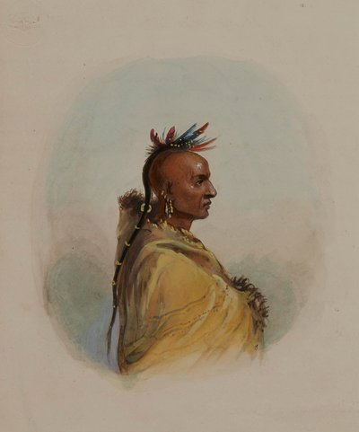 Cabeza de un sioux de Alfred Jacob Miller