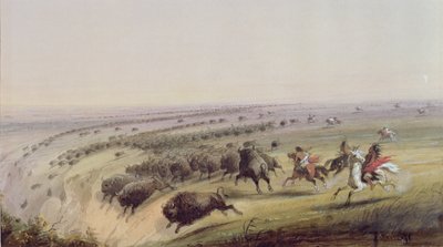 Cazando búfalos, 1837 de Alfred Jacob Miller