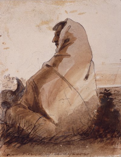 Indio de luto sobre una tumba, marcado por un cráneo de búfalo, c.1837 (lápiz, pluma y tinta y aguada sobre papel) de Alfred Jacob Miller